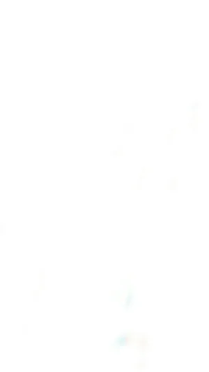 NKFRUTH PYSJ SETT "SILKE"