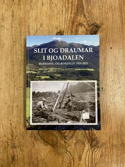 Slit og draumar i Bjoadalen  - Lokale bøker
