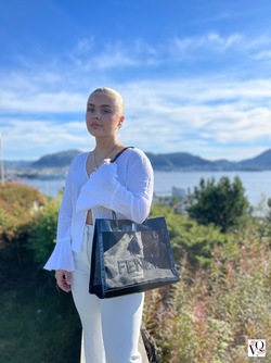 Fendi Tote Bag  - Louis Vuitton