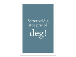 Setter stor pris på deg | 10x15 cm  - Papirkort.no