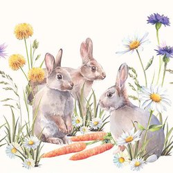 Napkin Carrot Treats, 33x33cm 20stk  - Ambiente