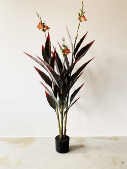Canna Blomst I Potte 147Cm  - Trend Design
