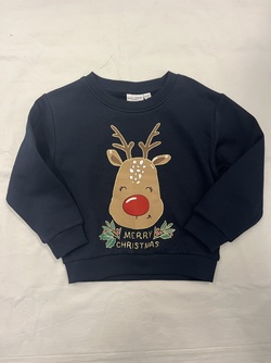 NMFVISMAS LS NREG SWEAT BRU  - Name It