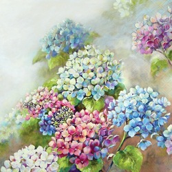 Napkin Hydrangea, 33x33cm 20stk  - Ambiente