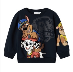 JONCE PAW NREG SWEAT  - Name It