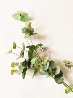 Gren Eucalyptus 84cm  - Trend Design