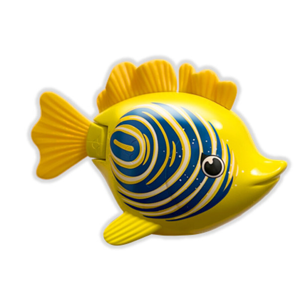 Rainbow Reef Fish - Zebra Fish zebra fish - Leiker