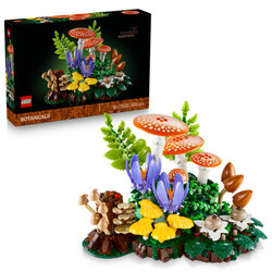  LEGO 11505 Skogsopp Skogsopp - LEGO